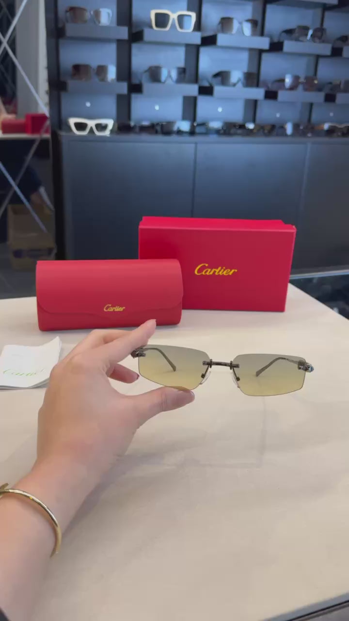 Carti£r Bayan Gözlük Çeşitleri