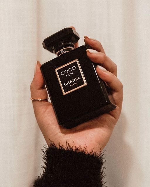 Ch. Coco Noir