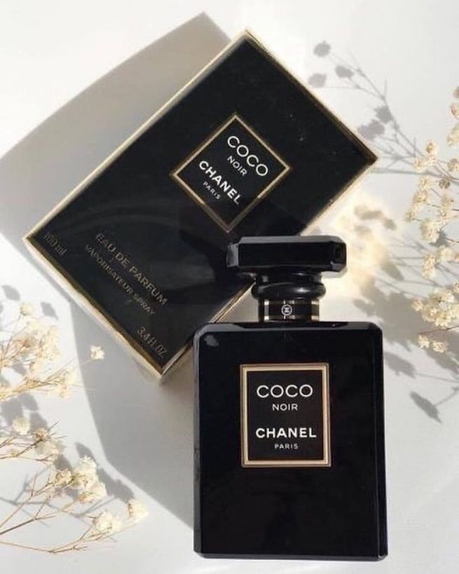 Ch. Coco Noir