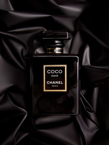 Ch. Coco Noir