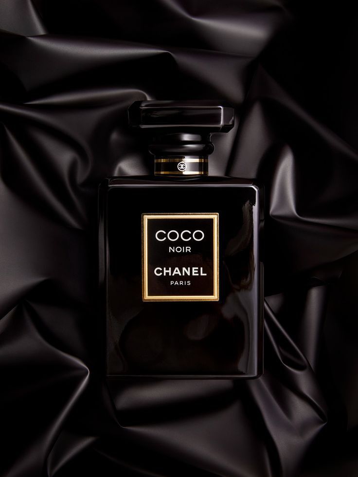 Ch. Coco Noir