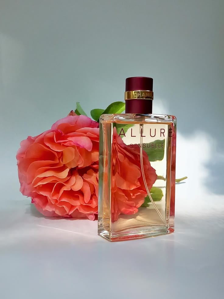 Ch. Allure Sensuelle