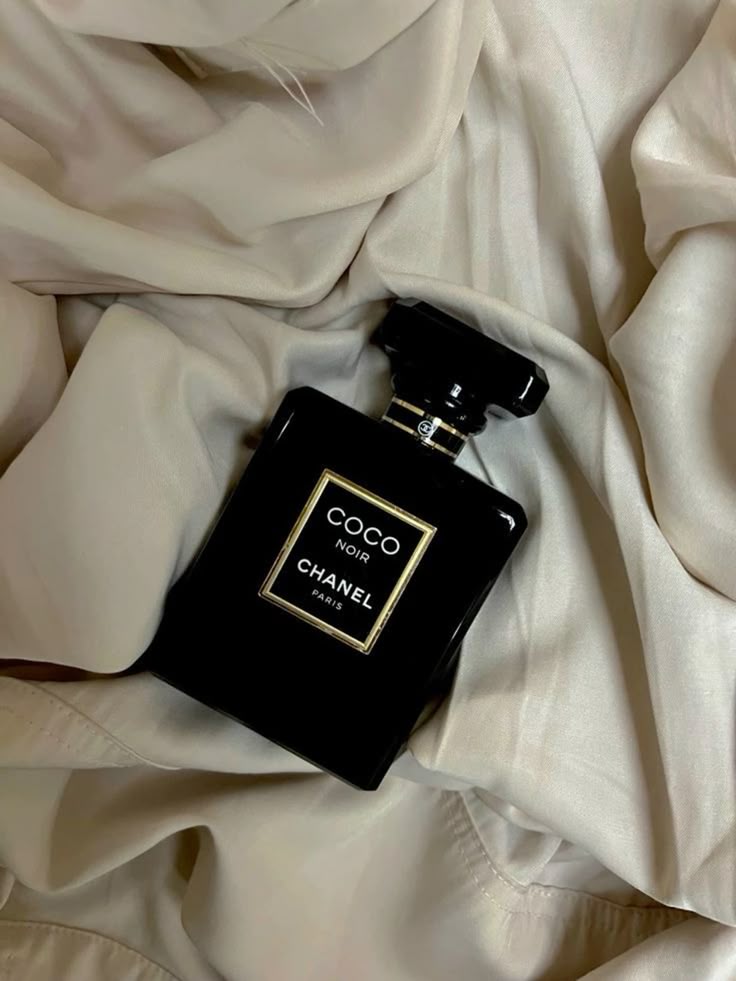 Ch. Coco Noir