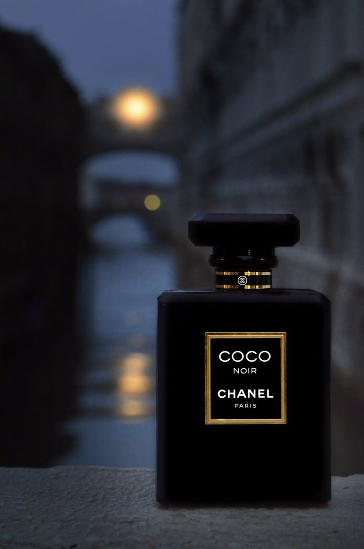 Ch. Coco Noir